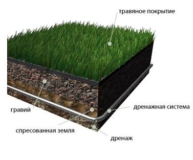 Преимущества натуральной газонной травы